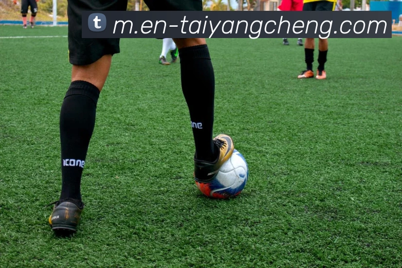 澳门太阳城APP 体育赛事宣传图